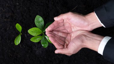 İşadamı, gübrelenmiş toprak konsepti üzerinde büyüyen ve yetiştiren eko şirketinin kurumsal sosyal sorumluluğunu üstlenen, CO2 emisyonunu azaltan ve sürdürülebilir gelecek için ESG ilkesini benimseyen bir iş adamı. Döngü