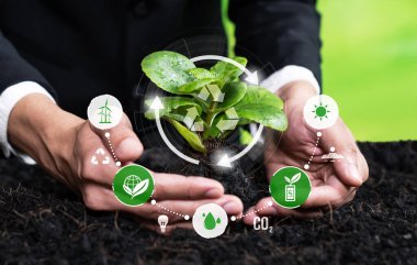 Businessman nurturing and growing plant seedling with recycle symbol. Business commitment and investing in natural and environmental protection future sustainable ecosystem. Reliance clipart