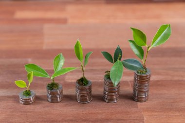 Organik para büyüme yatırım konsepti, üzerinde filiz veya bebek bitkisi olan para yığınlarının istiflenmesi ile gösterilir. Finansal yatırımlar doğayla uyum içinde servetin kökünü kazıdı ve gelişmesini sağladı. Antika