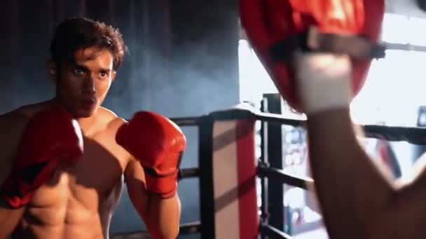 Asian Caucasian Muay Thai Boxer Unleash Punch Fierce Boxing Training — Stock Video