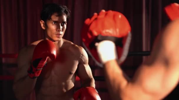 Asiatische Und Kaukasische Muay Thai Boxer Entfesseln Punch Heftigen Boxtrainings — Stockvideo