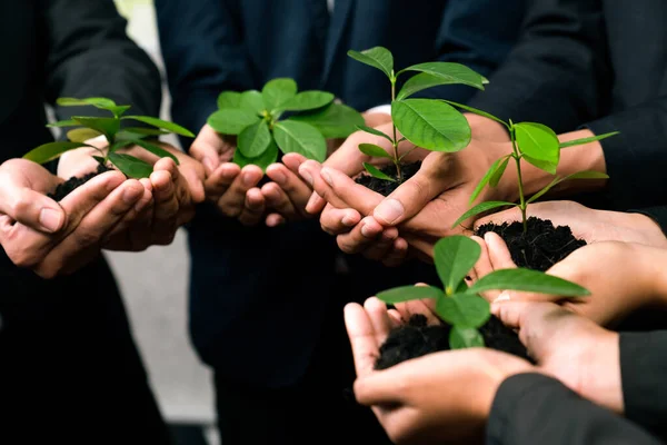 Eco-friendly investment on reforestation by group of business people holding plant together in office promoting CO2 reduction and natural preservation to save Earth with sustainable future. Quaint