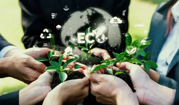 Asociación Empresarial Que Nutre Cultiva Planta Junto Con Icono Ecológico —  Fotos de Stock