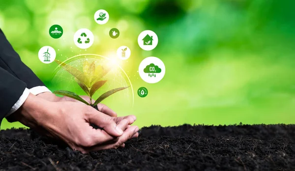 Empresário Nutrir Planta Com Ícone Design Ecológico Simbolizar Compromisso Com — Fotografia de Stock
