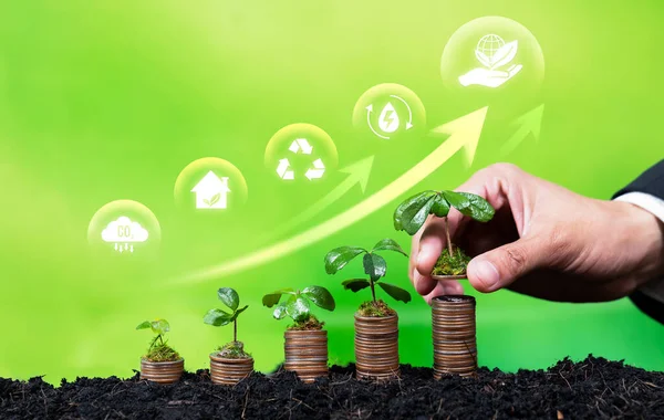 Pila Dinero Que Crece Con Inversión Empresarios Tecnología Ecológica Simboliza — Foto de Stock