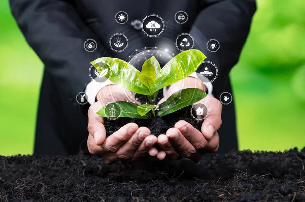 Empresário Nutrir Planta Com Ícone Design Ecológico Simbolizar Compromisso Com — Fotografia de Stock