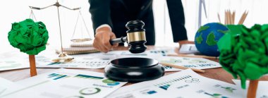 Çevre koruma ve çevre dostu mevzuat yasası oluşturan hukukçu ve avukat, Dünya 'yı küresel ısınmadan kurtarmak için net sıfır düzenlemeyle temiz ve sürdürülebilir enerji uyguluyor.