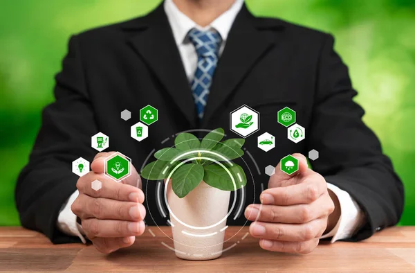 Бізнесмен Який Тримає Зелену Рослину Іконою Екологічного Цифрового Дизайну Символізує — стокове фото