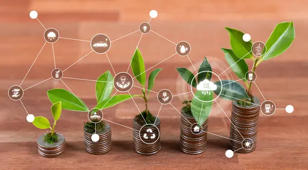 Wachsende Junge Baumsetzlinge Die Mit Esg Geschäftsinvestitionen Mit Nachhaltigem Wachstumspotenzial — Stockfoto