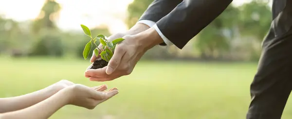 Panorama, businessman handing plant or sprout to young boy as eco company committed to corporate social responsible, reduce CO2 emission and embrace ESG principle for sustainable future.Gyre