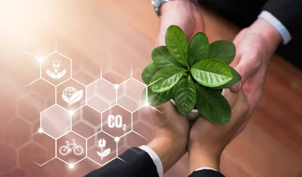 Business partnership nurturing or growing plant together with carbon icon symbolize ESG sustainable environment protection with eco technology and carbon credit solution for net zero future. Reliance