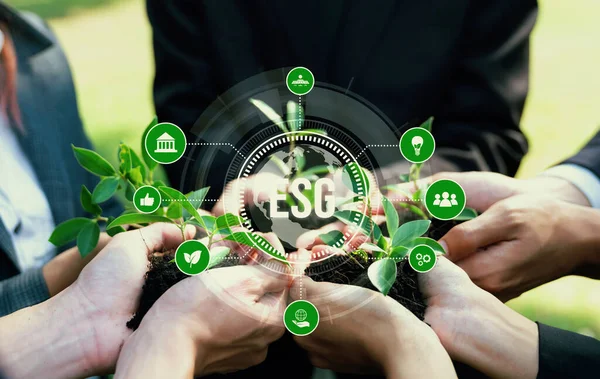 Business Partnership Leider Verzamelen Jonge Zaailing Plant Voeden Met Esg — Stockfoto
