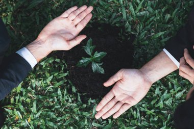 Üst düzey iş insanları grubu, gübrelenmiş toprak konsepti olan CSR şirketinin CSR kurumsal sosyal sorumluluk ilkesine bağlı olarak CO2 emisyonunu azaltarak birlikte büyür ve yetiştirir. Döngü