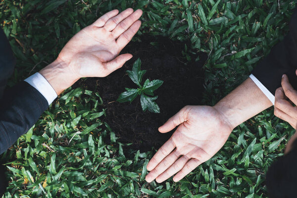 Крупнейшая группа бизнесменов совместно выращивает и выращивает растения на основе концепции удобренной почвы экологической компании, приверженной корпоративному принципу социальной ответственности КСО, сокращая выбросы CO2. Ор