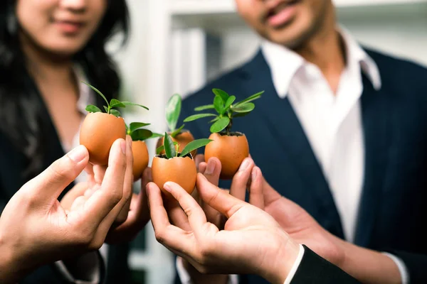 Eco Friendly Investment Reforestation Group Business People Holding Sprout Egg — Stock Photo, Image