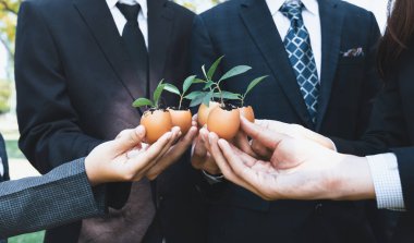 Bir grup iş adamı yumurta kabuğunu gübre tenceresine dönüştürüp, kurumsal yeniden ağaçlandırma projesinin bir parçası olarak filizlenme ve büyümeye olan bağlılığı sembolize ediyorlar. Döngü