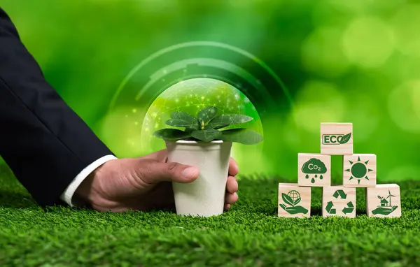 Corporate Commitment Esg Csr Reduce Carbon Emission Adopting Eco Friendly — Stock Photo, Image