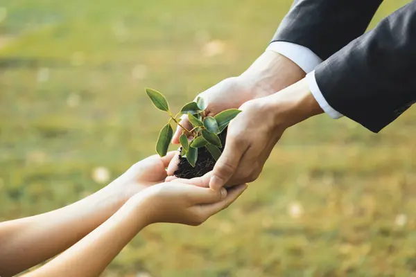 Businessman Handing Plant Sprout Young Boy Eco Company Committed Corporate — Stock Photo, Image