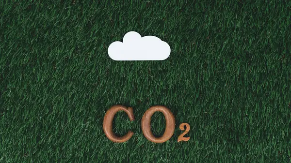 Arranged Wooden Alphabet Text Co2 Biophilic Background Gases Cloud Icon — Stock Photo, Image