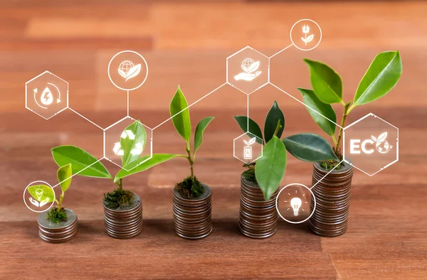 Stack of money and coin growing with tree seedling planted on top, symbolize green environment business investment and economic financial sustainable growth on environmental sustainability. Reliance