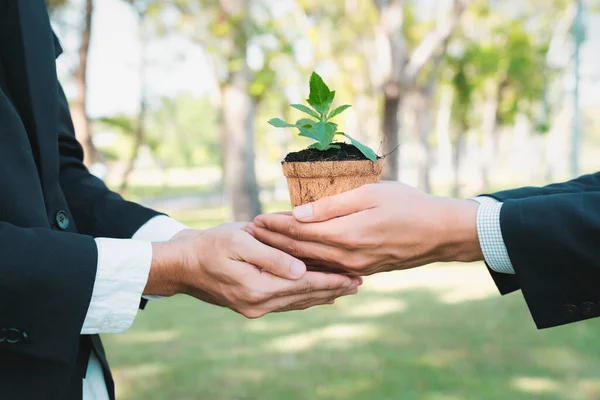 Business People Holding Plant Concept Eco Company Committed Corporate Social — Stock Photo, Image