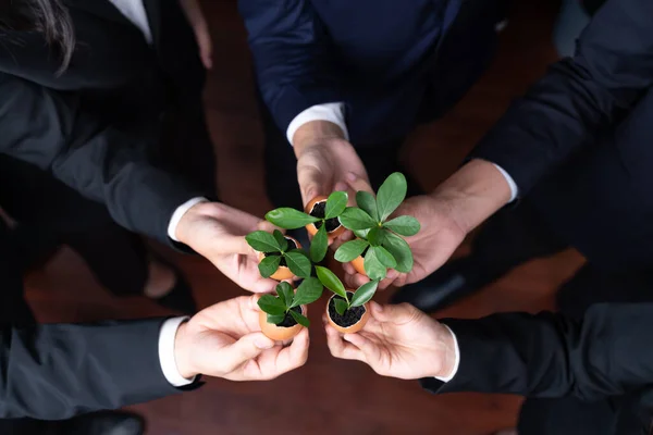 Panoramic Banner Top View Business Investment Reforestation Group People Holding — Stock Photo, Image