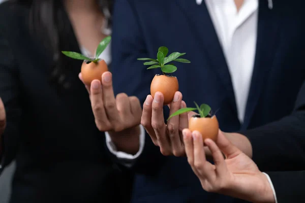 Eco-friendly investment on reforestation by group of business people holding sprout in egg shell together promoting CO2 reduction and natural preservation to save Earth with sustainable future. Quaint
