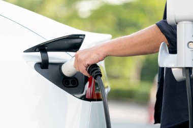 Yolculuk sırasında doğal orman ya da milli parktaki elektrikli araba için şarj olan bir adam. Tatil ve tatil boyunca çevre dostu seyahat. Yükselt