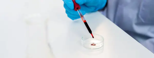 Investigador Científico Laboratorio Dejar Caer Muestra Sangre Diapositiva Microscópica Para — Foto de Stock