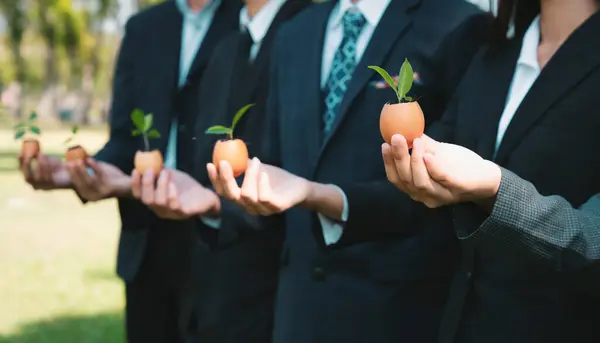 Group Business People Holding Repuposed Eggshell Transformed Fertilizer Pot Symbolizing — Stock Photo, Image