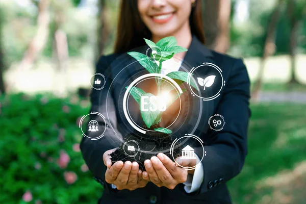 Focused Young Plant Soil Esg Eco Friendly Icon Design Holding — Stock Photo, Image