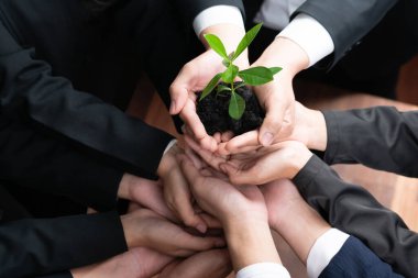 Fabrikayı ayakta tutan bir grup iş adamı tarafından ormanların yeniden ağaçlandırılmasına yapılan çevre dostu yatırım CO2 azaltımını ve doğal korumayı teşvik ederek sürdürülebilir bir gelecekle Dünya 'yı kurtardı. Antika