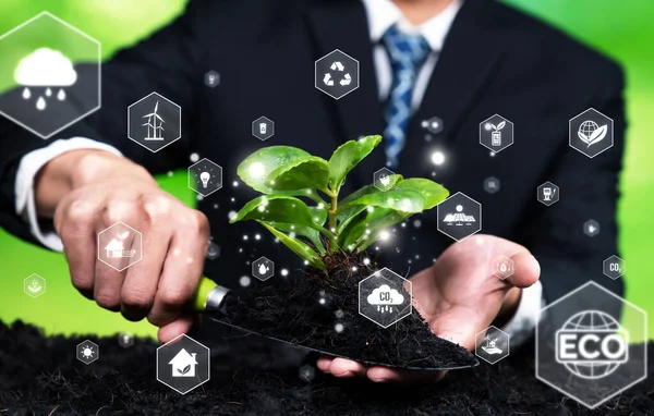 Business Investment Reforestation Businessman Growing Young Seedling Plant Soil Esg — Stock Photo, Image