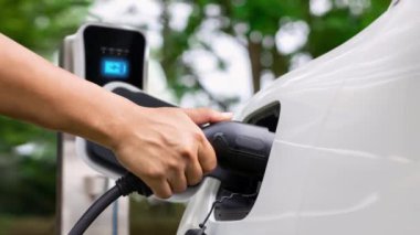 Adam EV şarj aleti takıyor ve yeşil park ve yeşillik arka planında akıllı şarj istasyonu olan elektrikli arabayı şarj ediyor. Çevre koruma için temiz enerjiden güç alan çevre dostu EV araba. İnceleyin