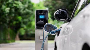 Doğal yeşil araba parkındaki ekolojik temiz enerji şarj istasyonundan gelen fütürist akıllı EV şarj aletinin şarj ettiği elektrikli araba. Alternatif enerji kullanan gelecekçi çevre dostu elektrikli araba. İnceleyin