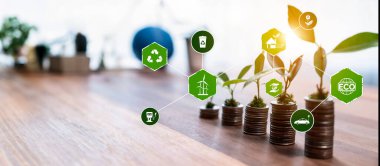 Zirvede ağaç filizlendirme fabrikası, yeşil çevre iş yatırımı ve çevresel sürdürülebilirlikte ekonomik sürdürülebilir büyüme ile birlikte para ve sikke yığını büyüyor. Panorama Güvenliği
