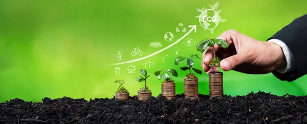 Montón Dinero Creciendo Con Hombres Negocios Que Invierten Tecnología Ecológica — Foto de Stock