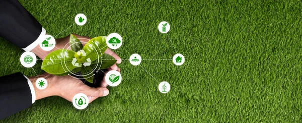 Businessman Nurturing Holding Plant Recycle Symbol Business Commitment Investing Natural — Stock Photo, Image
