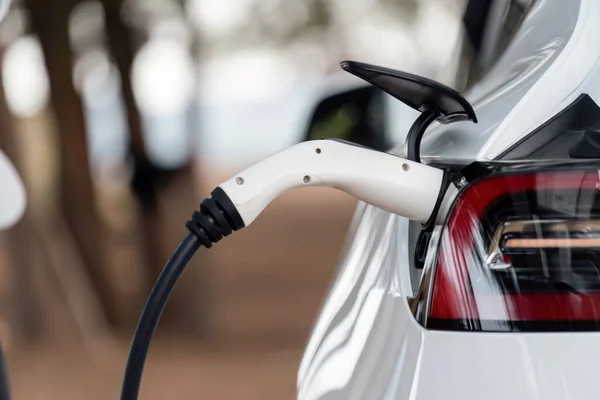 Closeup EV charger handle plugged in or connect to electric car, recharging EV car battery with alternative and sustainable energy with zero CO2 emission for clean environment. Perpetual