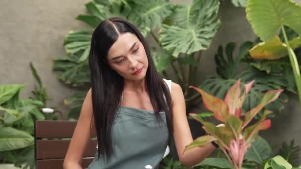 Jonge Vrouwelijke Tuinman Verzorgen Trimmen Tropische Plant Minimalistische Architectonische Betonnen — Stockvideo