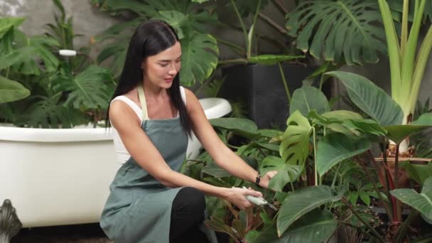Jonge Vrouwelijke Tuinman Verzorgen Trimmen Tropische Plant Minimalistische Architectonische Betonnen — Stockvideo