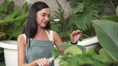 Genç kadın bahçıvan, minimalist mimari beton tarzında tropikal bitkilerle ilgileniyor ve onları buduyor yaz mevsiminde egzotik bitki yetiştirme bahçeleri, çevreci yaşam tarzları için ev bahçeleri. Blithe