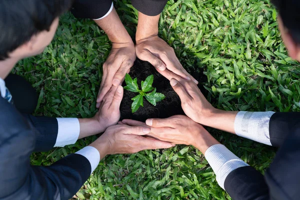 Üst düzey iş insanları grubu, gübrelenmiş toprak konsepti olan CSR şirketinin CSR kurumsal sosyal sorumluluk ilkesine bağlı olarak CO2 emisyonunu azaltarak birlikte büyür ve yetiştirir. Döngü