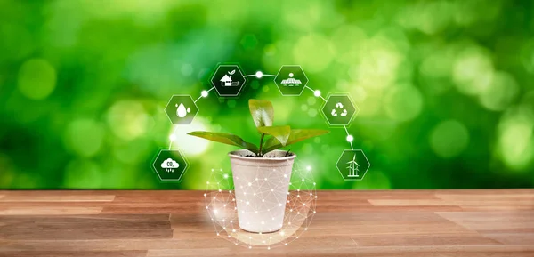 Green plant with eco digital design icon symbolize environmental friendly practice with ESG commitment to reduce carbon emission by using clean and sustainable energy. Panorama Reliance