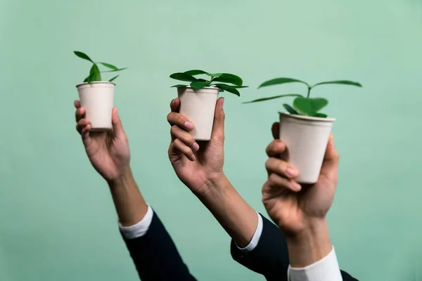 Empresários Mão Segurando Vaso Planta Fundo Isolado Reflorestação Regulação Eco — Fotografia de Stock