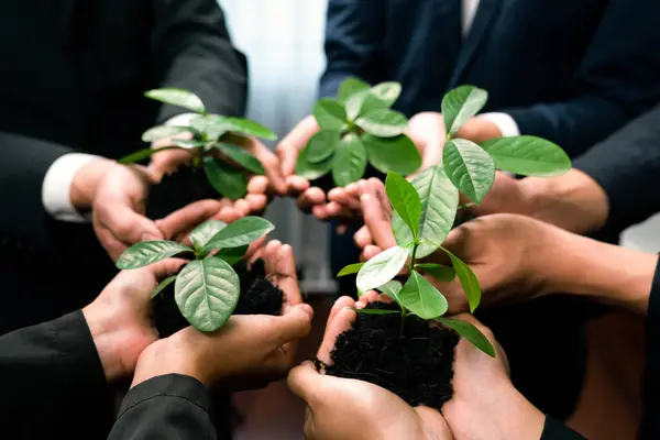 Eco Friendly Investment Reforestation Group Business People Holding Plant Together — Stock Photo, Image