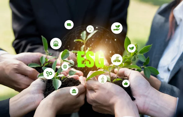 Business Partnership Leader Gather Nurture Young Seedling Plant Esg Icons — Stock Photo, Image