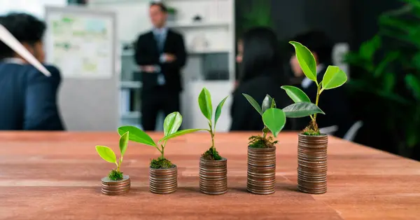 Organic money growth investment concept shown by stacking piles of coin with sprout or baby plant on top. Financial investments rooted and cultivating wealth in harmony with nature. Quaint
