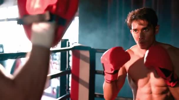 Asiatische Und Kaukasische Muay Thai Boxer Entfesseln Punch Heftigen Boxtrainings — Stockvideo