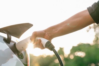 Sonbahar gezisi sırasında sonbahar ormanı arabasında elektrikli araba için şarj eden bir adam. Sonbahar tatilinde elektrikli araçla çevre dostu bir seyahat. Yükselt